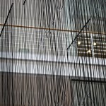 IMG_5358