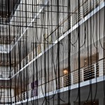 IMG_5392