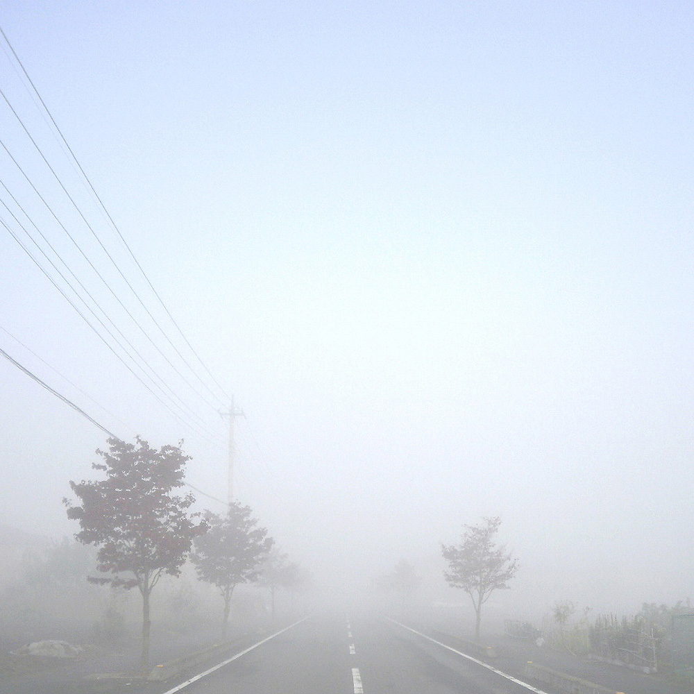 Distance of Fog, Japan / StudioGreenBlue